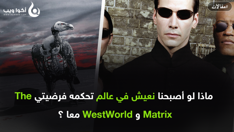 تقنيا : ماذا لو أصبحنا نعيش في عالم تحكمه فرضيتي The Matrix و WestWorld معا ؟