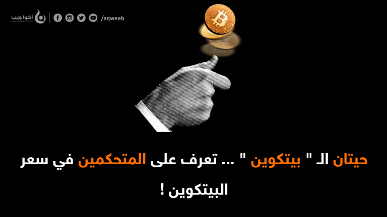 حيتان الـ ” بيتكوين ” … تعرف على المتحكمين في سعر البيتكوين !