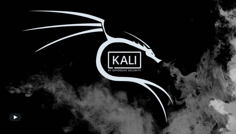 تحديث لنظام Kali Linux يجلب وضع التخفي (Undercover Mode)
