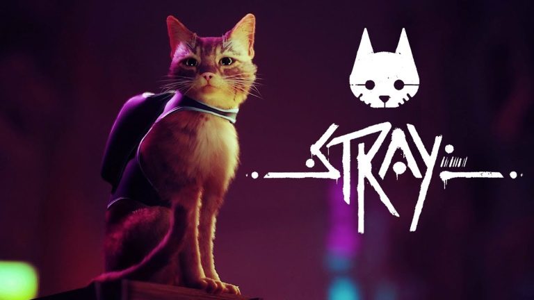 كل ما تحتاج معرفته حول لعبة Stray